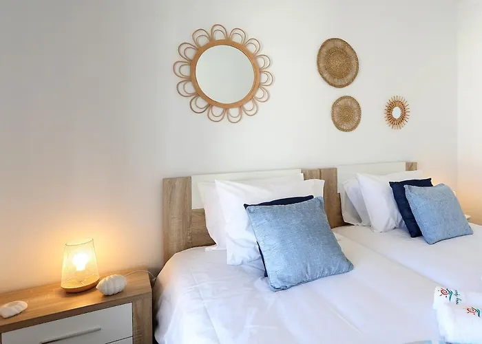 Appartement T3- Sunny